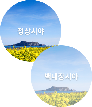 백내장의 증상 이미지